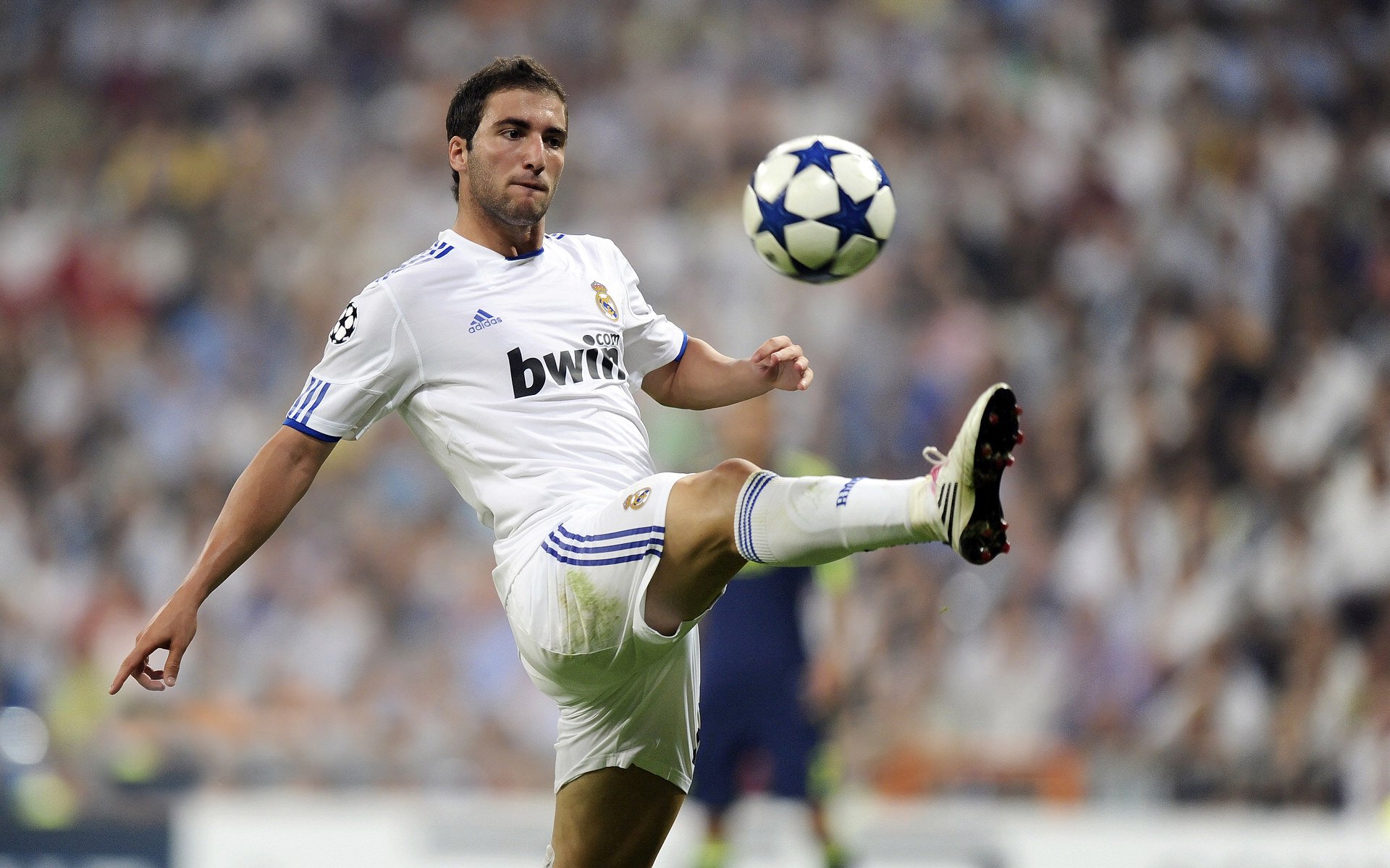 kaiyun 开云体育-世界杯精彩扣人心弦：每一刻都值得回味！，世界杯激动人心时刻